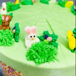 Easter Garden Cutting Cake (10 Large Slices)